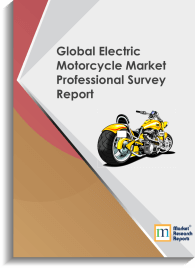 Global Electric Motorcycle Market Professional Survey Report