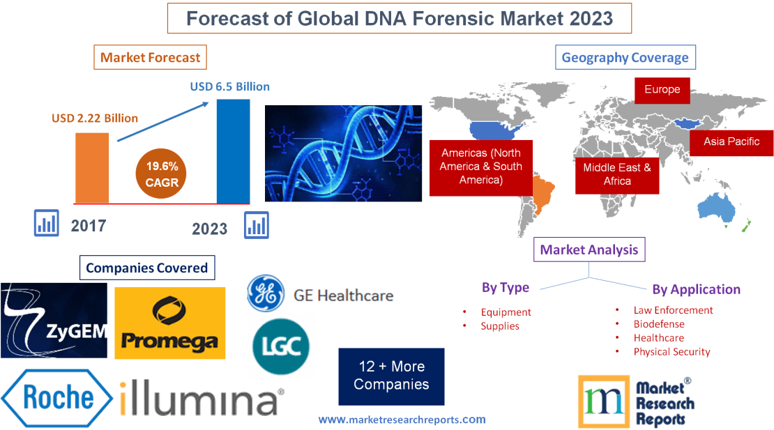 Forecast of Global DNA Forensic Market 2023