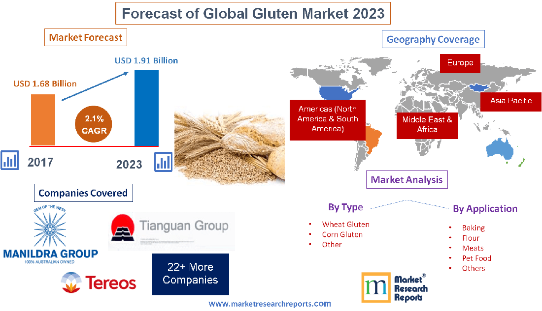 Forecast of Global Gluten Market 2023