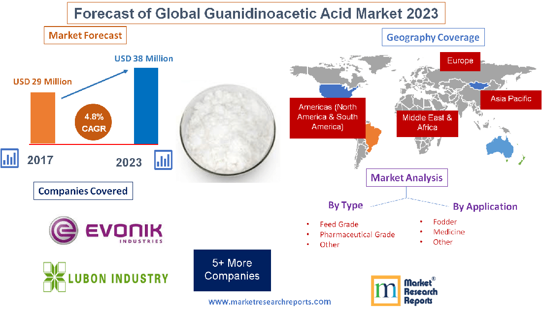 Forecast of Global Guanidinoacetic Acid Market 2023