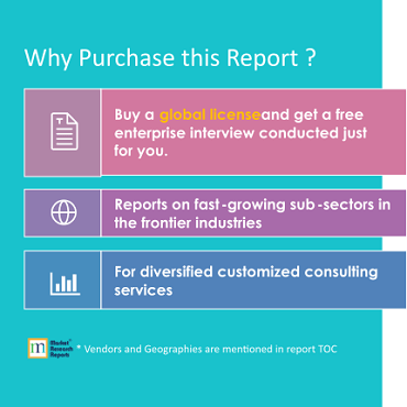 Why Purchase this report