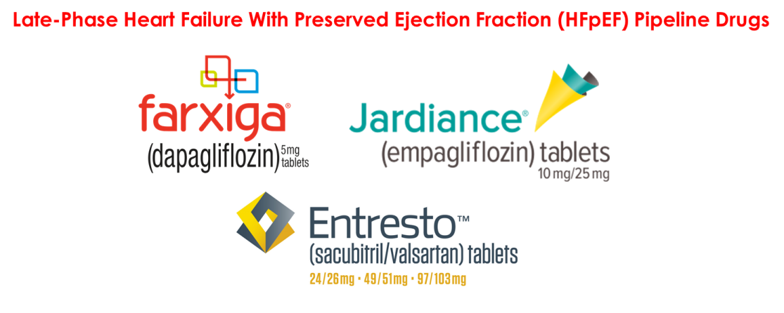 Late-Phase Heart Failure With Preserved Ejection Fraction (HFpEF) Pipeline Overview