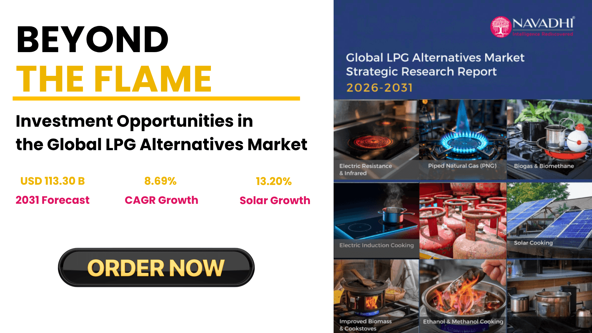 Global Alternate LPG Market