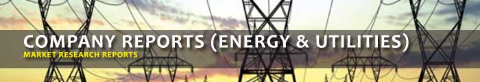 Company Market Research Reports (Energy & Utilities)