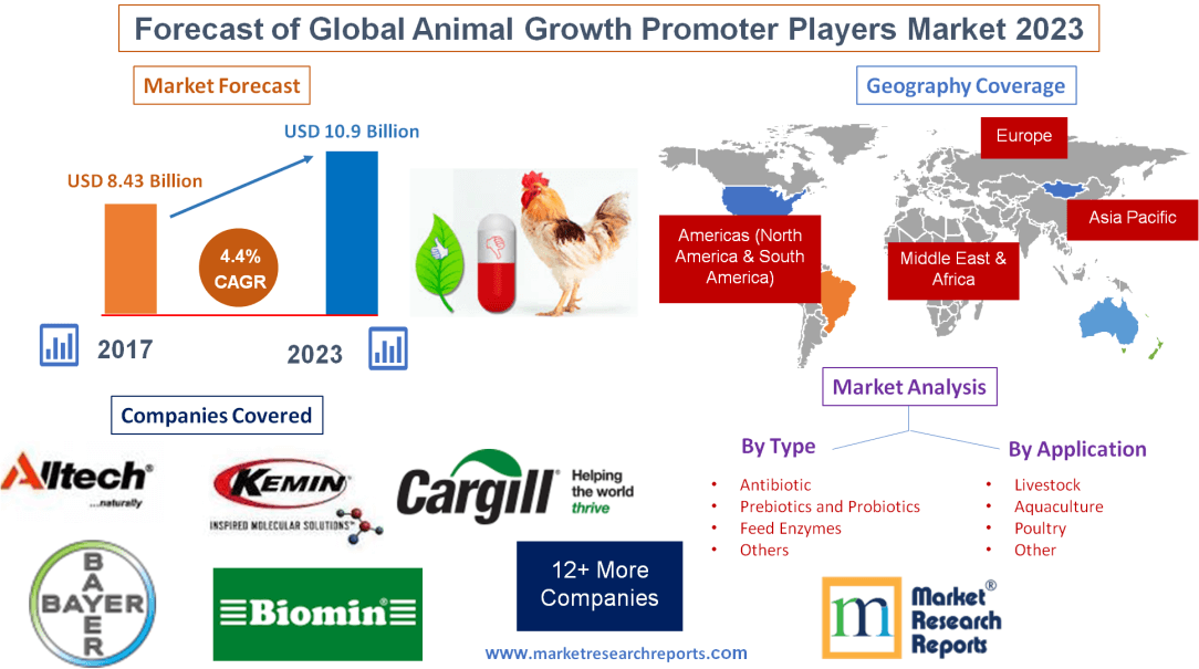 Forecast of Global Animal Growth Promoter Players Market 2023
