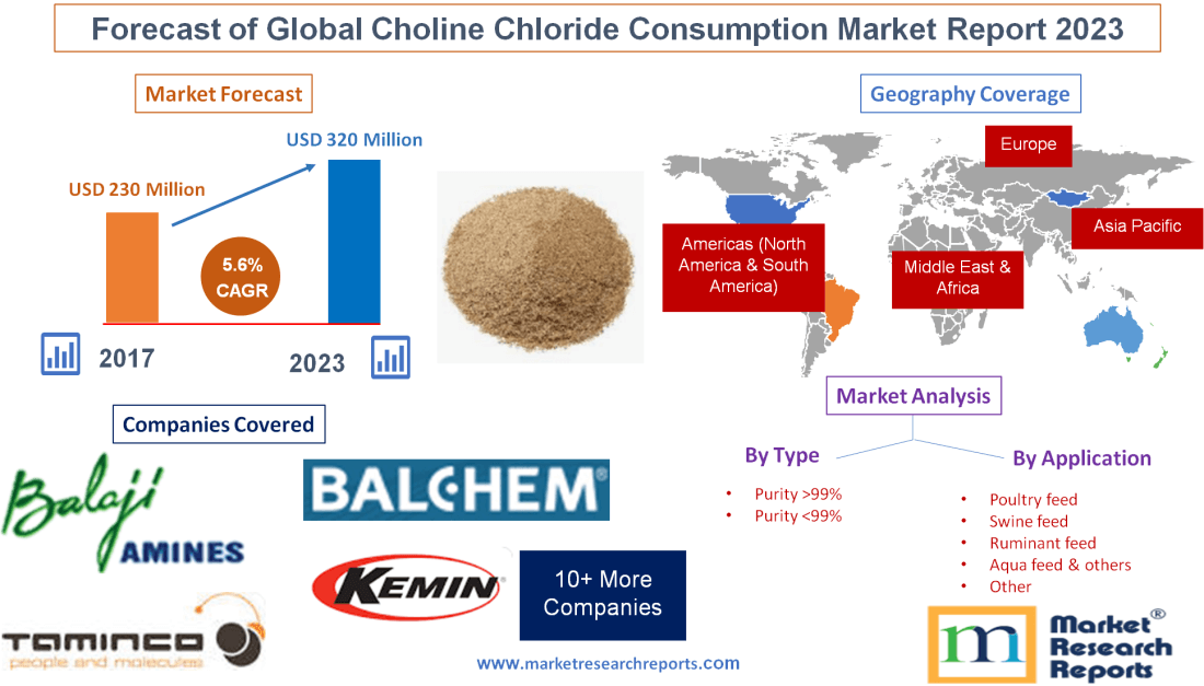 Forecast of Global Choline Chloride Consumption Market Report 2023