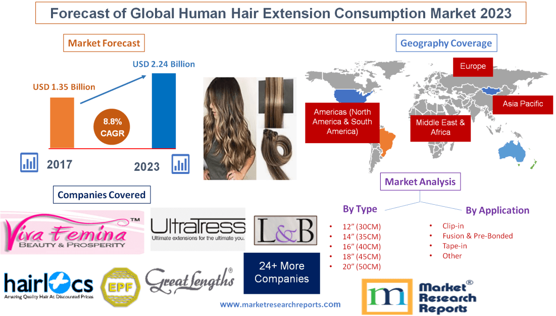 Forecast of Global Human Hair Extension Consumption Market 2023