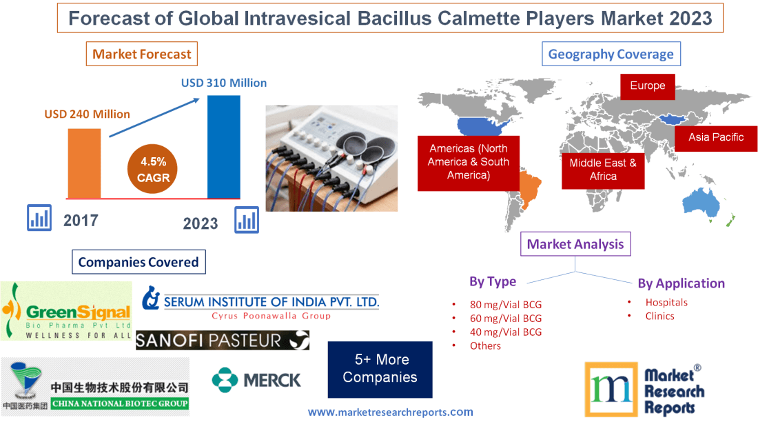 Forecast of Global Intravesical Bacillus Calmette Players Market 2023