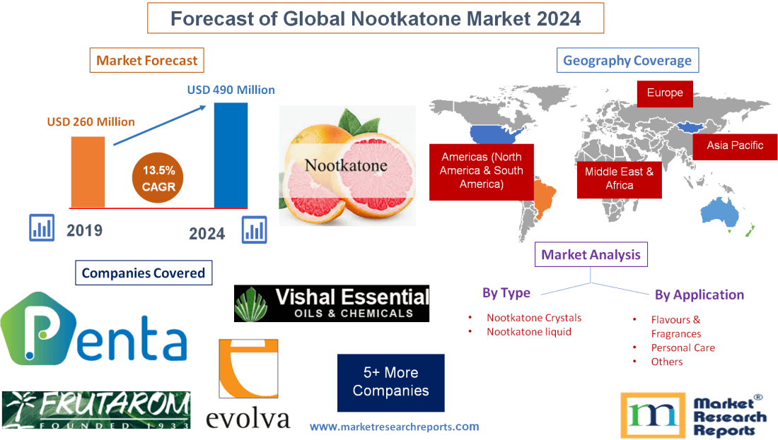 Forecast of Global Nootkatone Market 2024