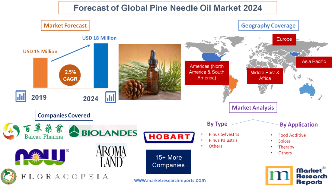Forecast of Global Pine Needle Oil Market 2024