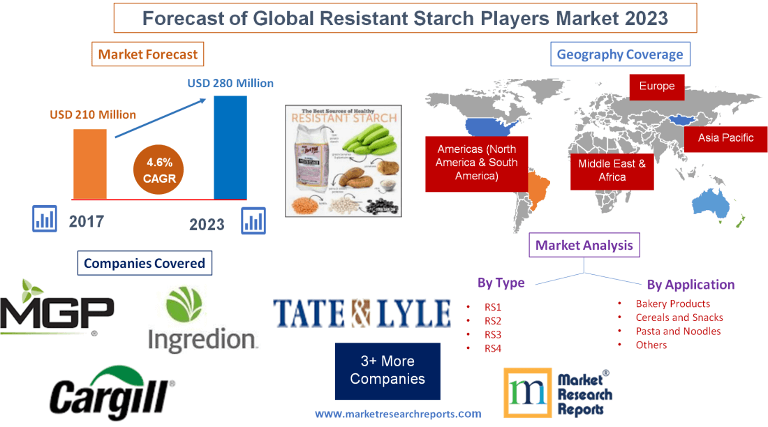 Forecast of Global Resistant Starch Players Market 2023