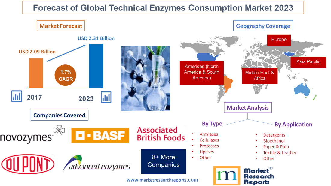 Forecast of Global Technical Enzymes Consumption Market 2023