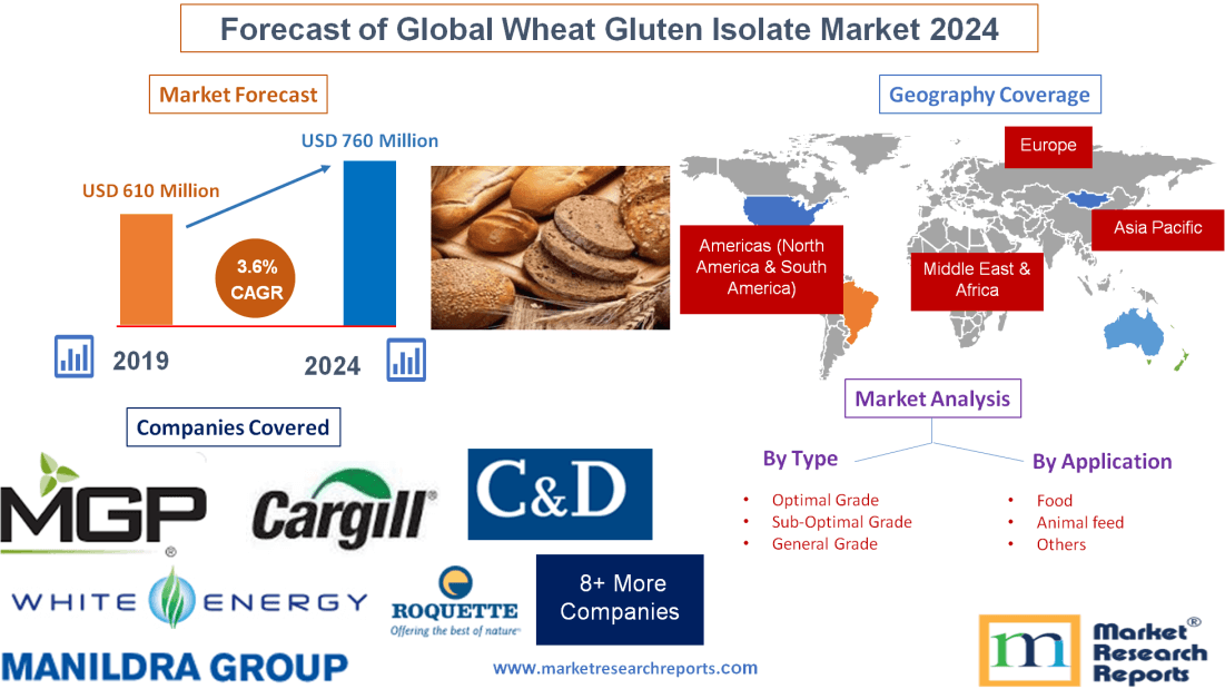 Forecast of Global Wheat Gluten Isolate Market 2024