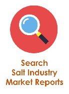 Search Salt Industry Reports