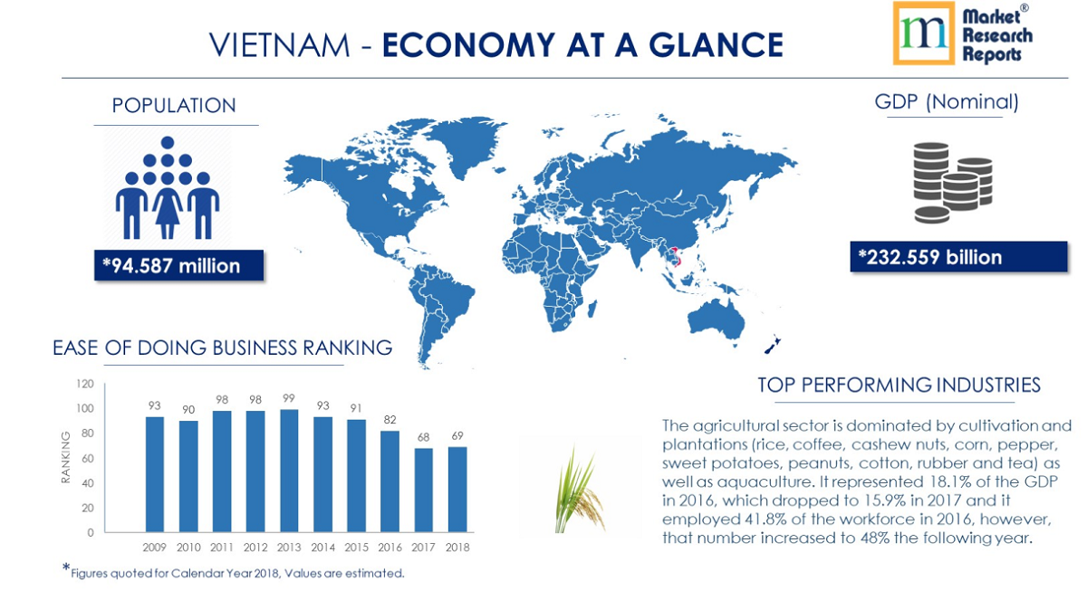 vietnam market research report