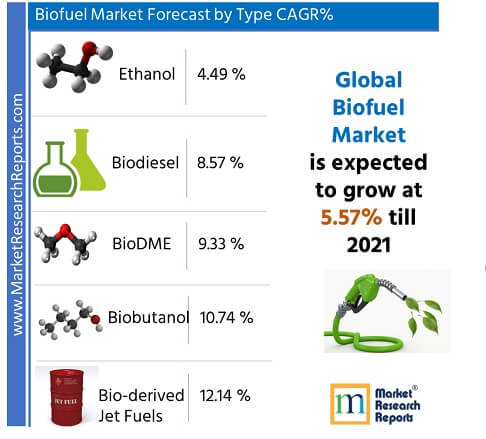 Global Biofuel Market Forecast by Fuel Types