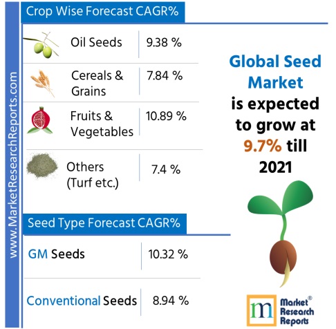 Global Seed Market Forecast