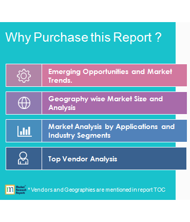 Why to Buy This Market Research Report