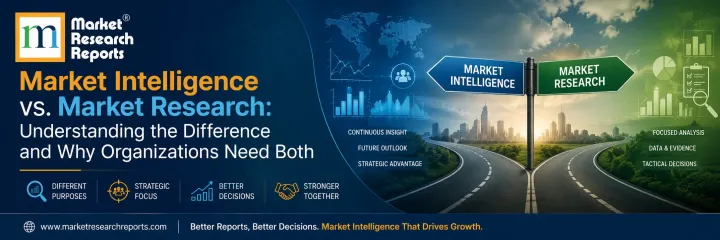 Market Intelligence vs. Market Research: Understanding the Difference and Why Organizations Need Both