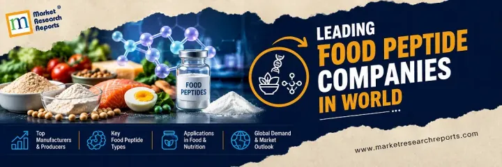 Leading Food Peptide Companies: Top Global Manufacturers & Industry Leaders