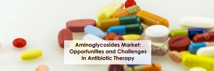 Aminoglycosides Market: Opportunities and Challenges in Antibiotic Therapy