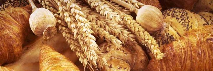 World Bakery Product Market to Grow 3.1% annually from 2015 to 2019