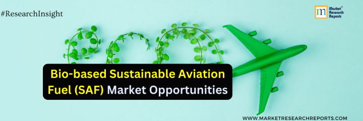 Global Bio-based Aviation Fuel Market Soars: Projections Reach $13.8 Billion by 2030