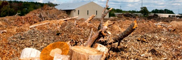 Global Biopower Market Scenario 2025