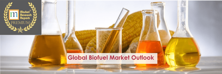 Global Biofuels Market Outlook