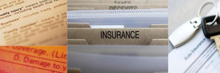 Global Insurance Review and Outlook