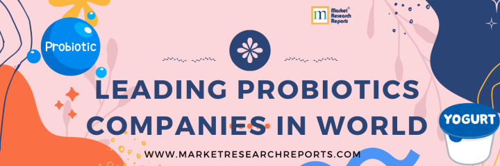 Probiotic Titans: How Yakult, Danone, and Chobani Dominate the Global Probiotic Drink Market