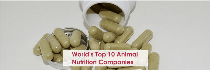 World’s Top 10 Animal Nutrition Companies