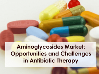 Aminoglycosides Market: Opportunities and Challenges in Antibiotic Therapy