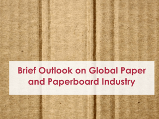 Brief Outlook on Global Paper and Paperboard Industry