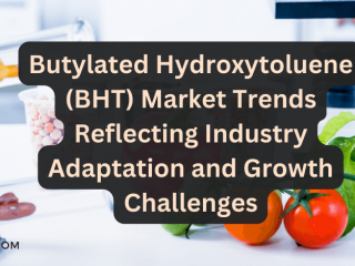 Butylated Hydroxytoluene (BHT) Market Trends Reflecting Industry Adaptation and Growth Challenges
