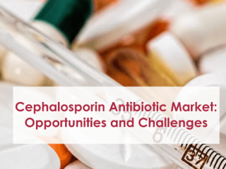 Cephalosporin Antibiotic Market: Opportunities and Challenges