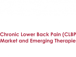 Chronic Lower Back Pain (CLBP) Market and Emerging Therapies