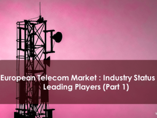 European Telecom Market : Industry Status and Leading Players (Part 1)