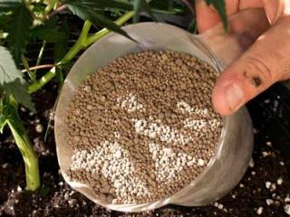 World Fertilizer Market to Grow 3.4% Annually from 2015 to 2019 