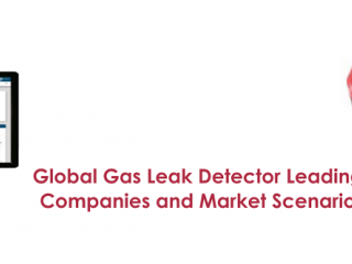  Global Gas Leak Detector Leading Companies and Market Scenario