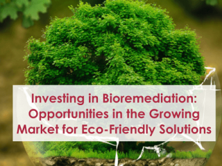 Investing in Bioremediation: Opportunities in the Growing Market for Eco-Friendly Solutions