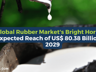 Global Rubber Market's Bright Horizon: Expected Reach of US$ 80.38 Billion by 2029
