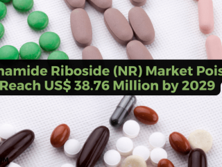 Nicotinamide Riboside (NR) Market Poised to Reach US$ 38.76 Million by 2029