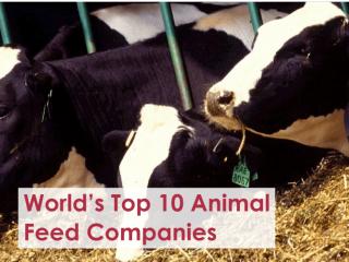 World’s Top 10 Animal Feed Companies