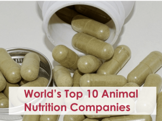 World’s Top 10 Animal Nutrition Companies
