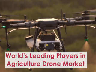 Leading Players in Agriculture Drone Market