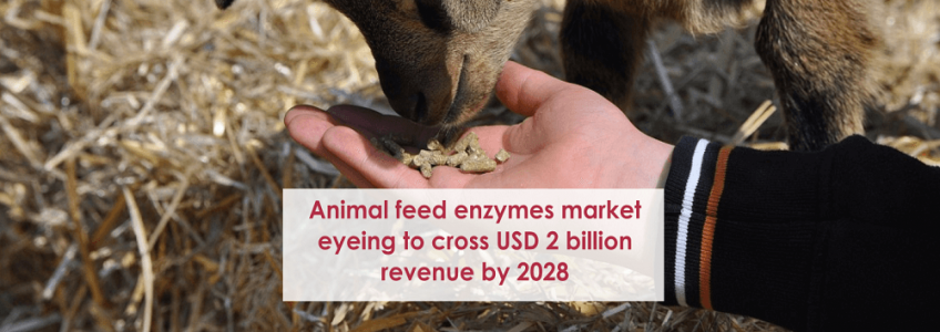 Animal feed enzymes market eyeing to cross USD 2 billion revenue by 2028