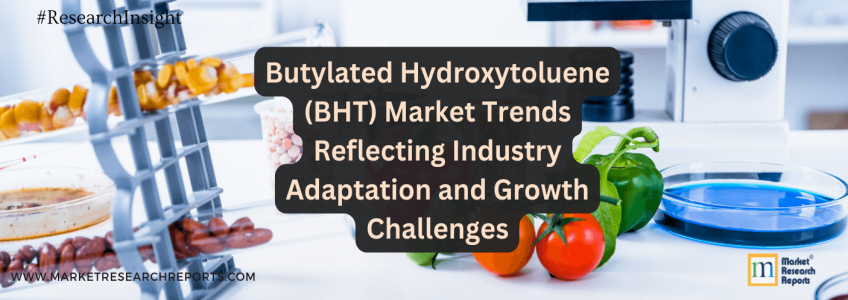 Butylated Hydroxytoluene (BHT) Market Trends Reflecting Industry Adaptation and Growth Challenges