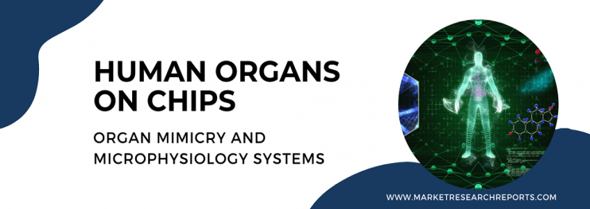 Human Organs on Chips: Organ Mimicry and Microphysiology Systems