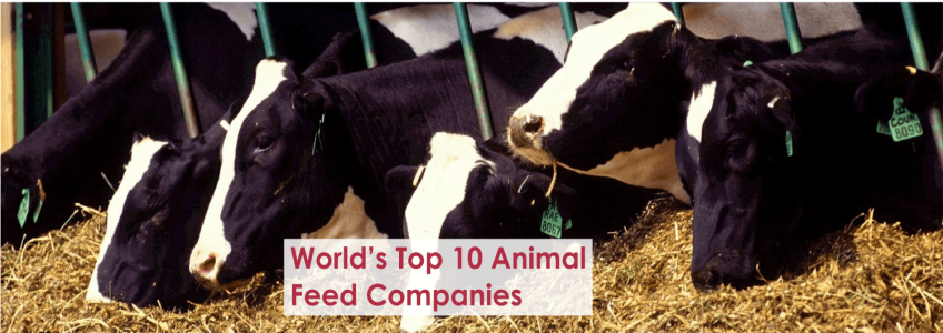 World’s Top 10 Animal Feed Companies